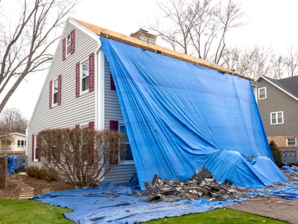 Best Insulated Siding Installation  in Five Points, FL